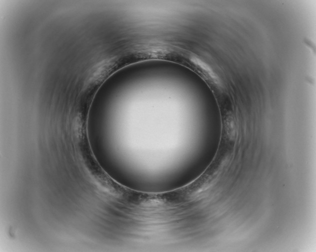 X0000099380594200805081448