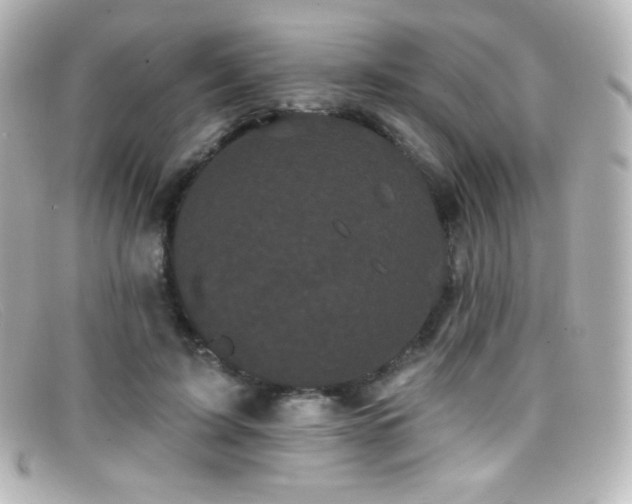 X0000099380595200805081448