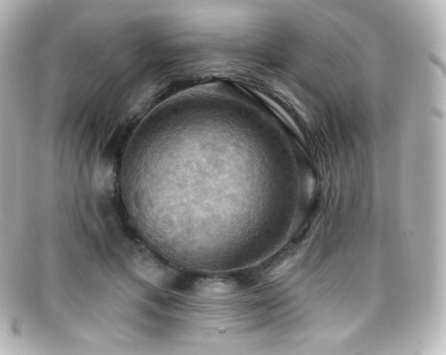 X0000099380597200805081448