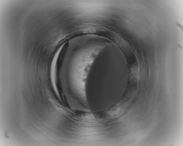 X0000099380600200805081447