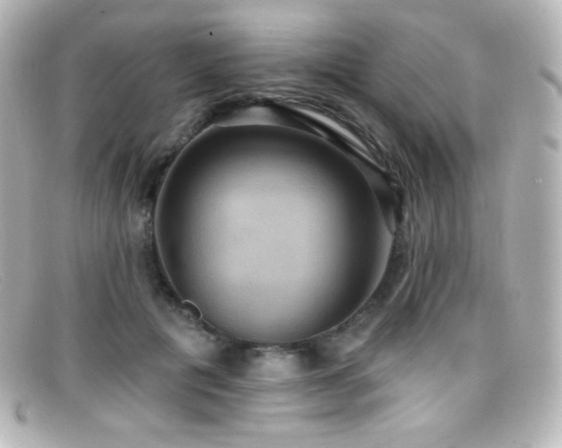 X0000099380601200805081447