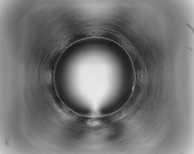 X0000099380602200805081447