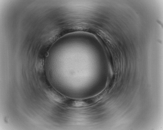 X0000099380605200805081447