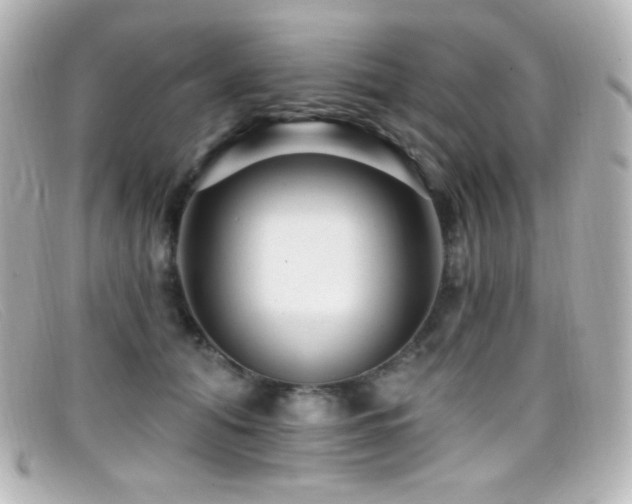 X0000099380608200805081447