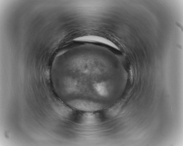 X0000099380613200805081447