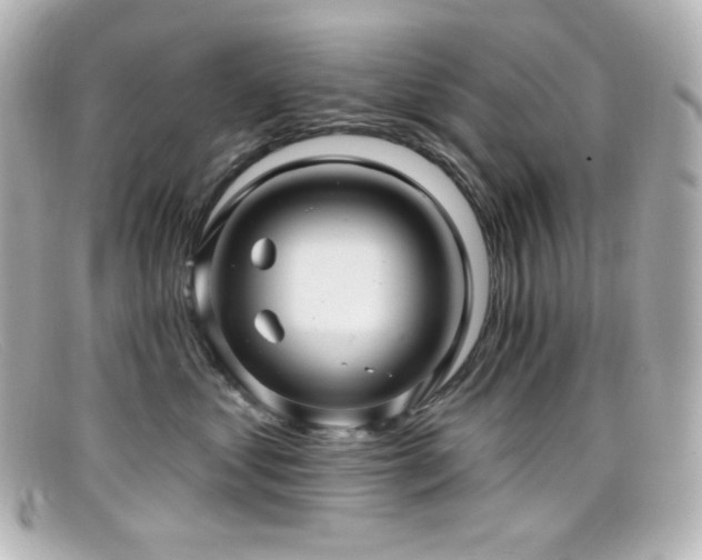 X0000099380621200805081447