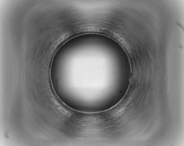 X0000099380625200805081446