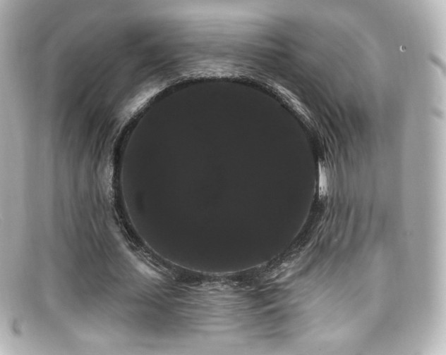 X0000099380627200805081446