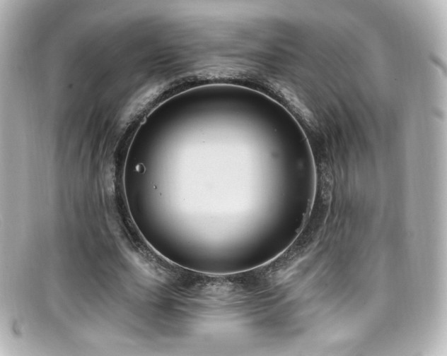 X0000099380631200805081447