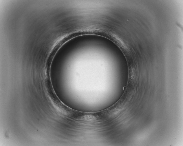 X0000099380636200805081447