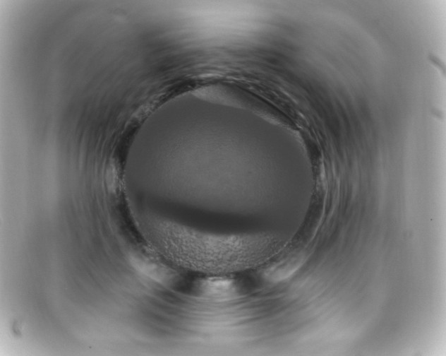 X0000099380651200805081447
