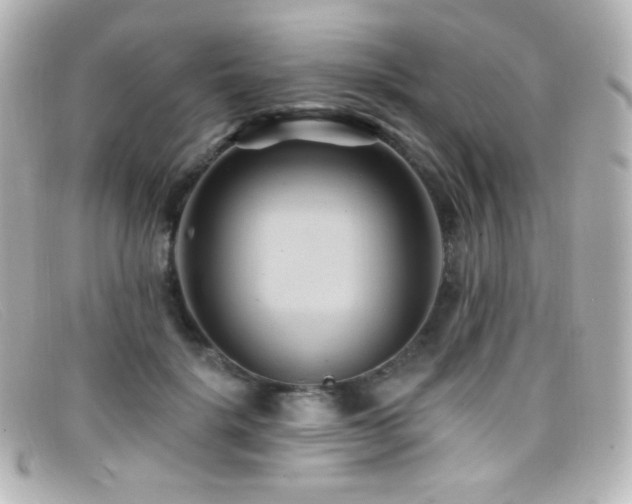 X0000099380652200805081447