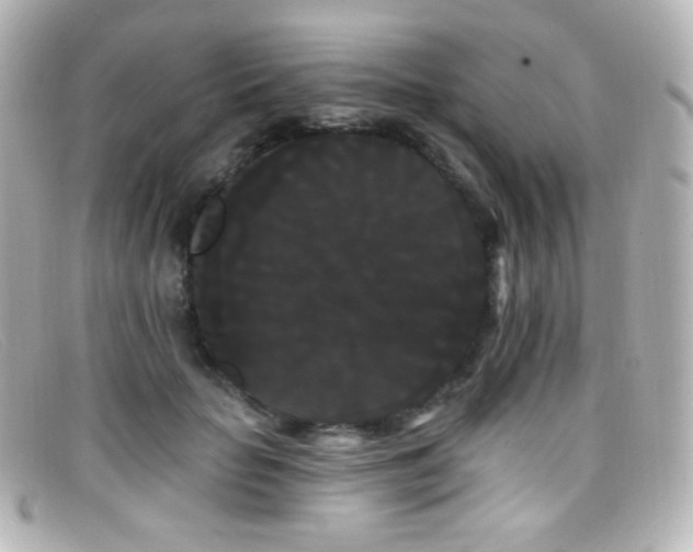 X0000099380653200805081447