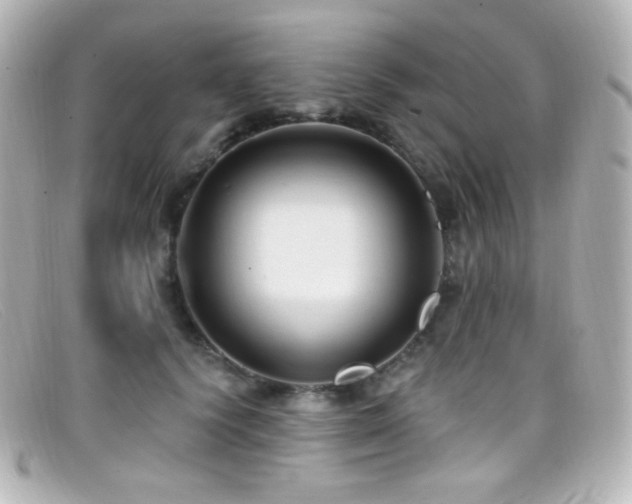 X0000099380656200805081447