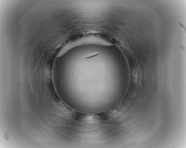 X0000099380657200805081447