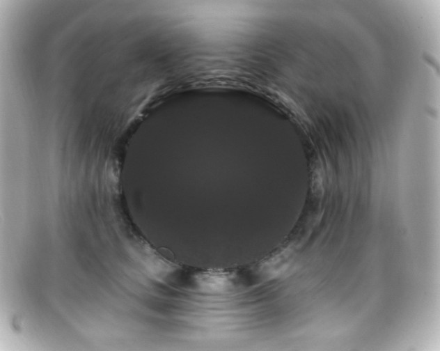 X0000099380661200805081447
