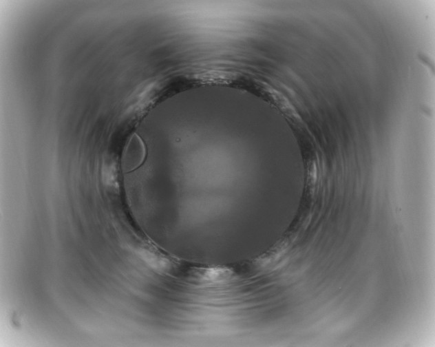 X0000099380663200805081447