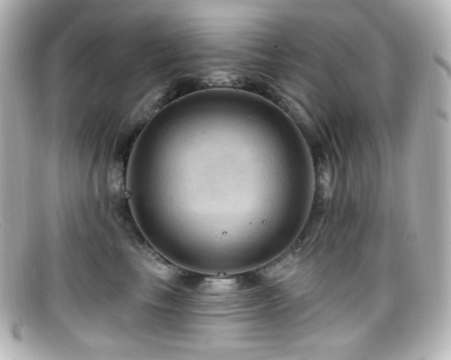 X0000099380665200805081447