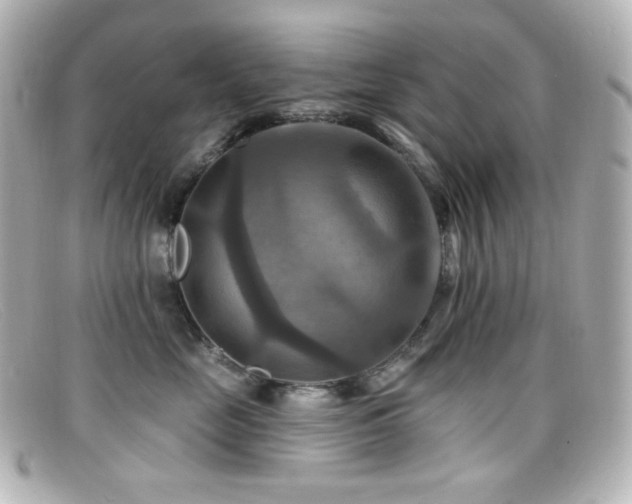 X0000099380669200805081447
