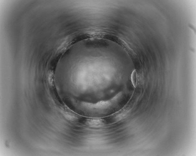 X0000099380671200805081447