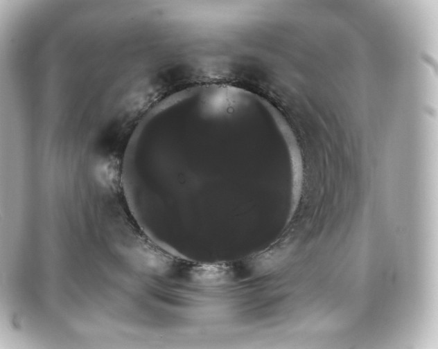 X0000099380672200805081447