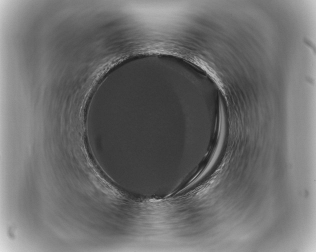 X0000099380673200805081446