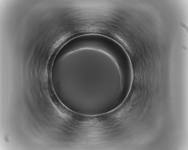 X0000099380674200805081446