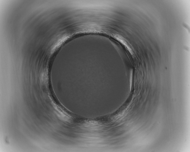 X0000099380677200805081446