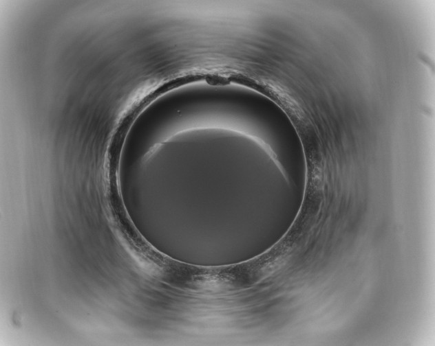 X0000099380678200805081446