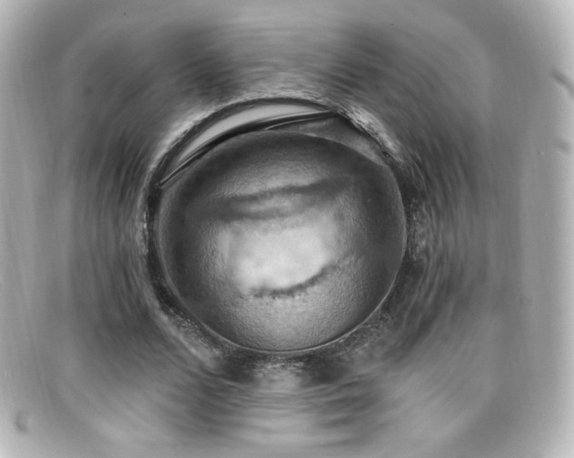 X0000099380680200805081446