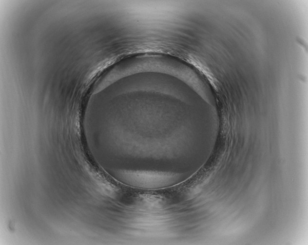 X0000099380681200805081446