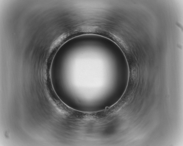 X0000099380682200805081446