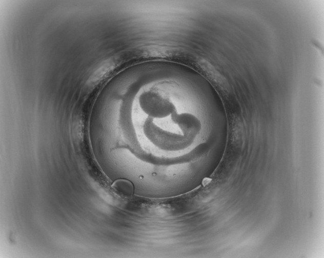 X0000099380683200805081446