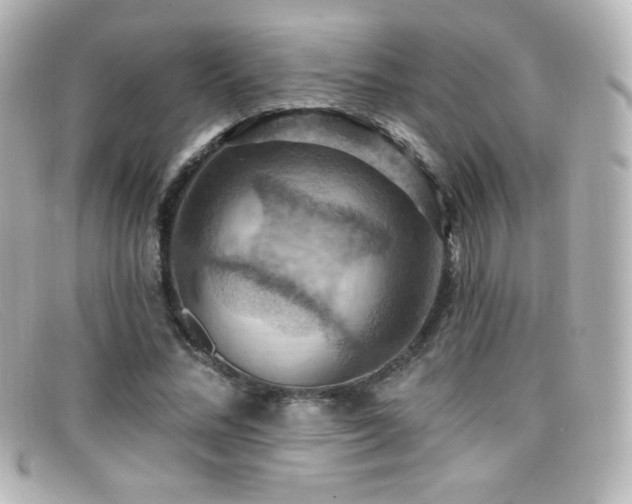 X0000099380684200805081446