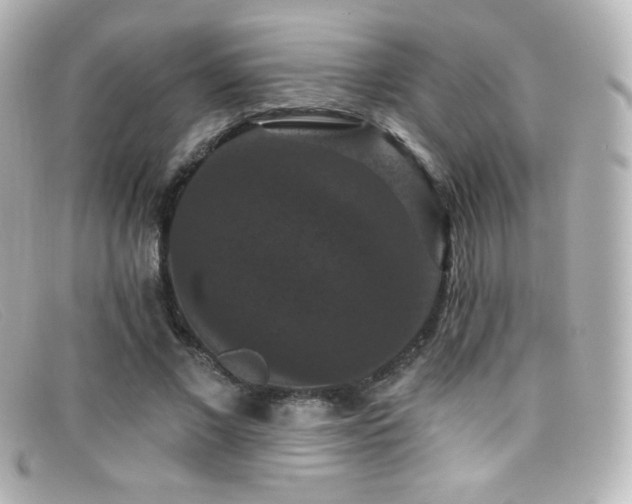 X0000099380685200805081446