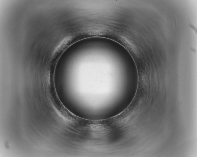 X0000099380686200805081446