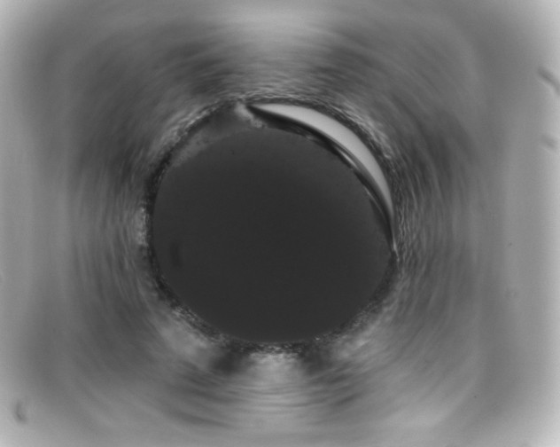 X0000099380689200805081446