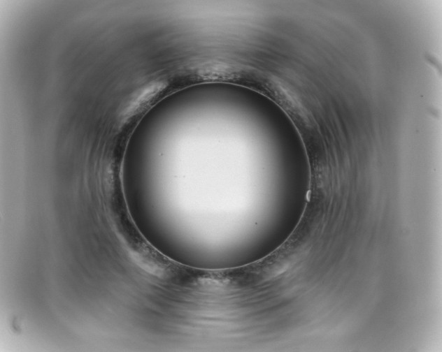 X0000099380690200805081446