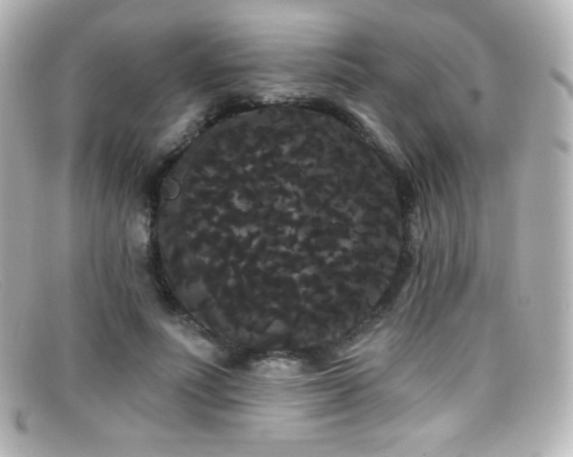 X0000099380691200805081446