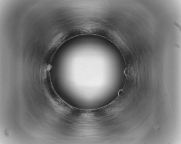 X0000099380694200805081446