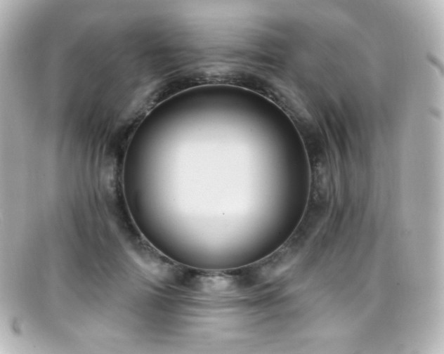 X0000099380698200805081446