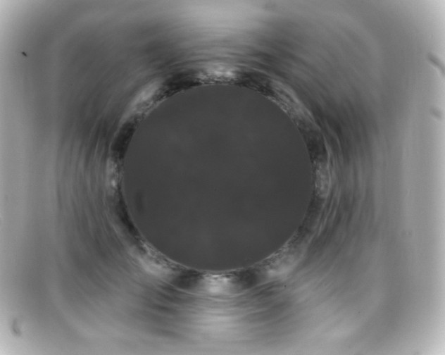 X0000099380701200805081446