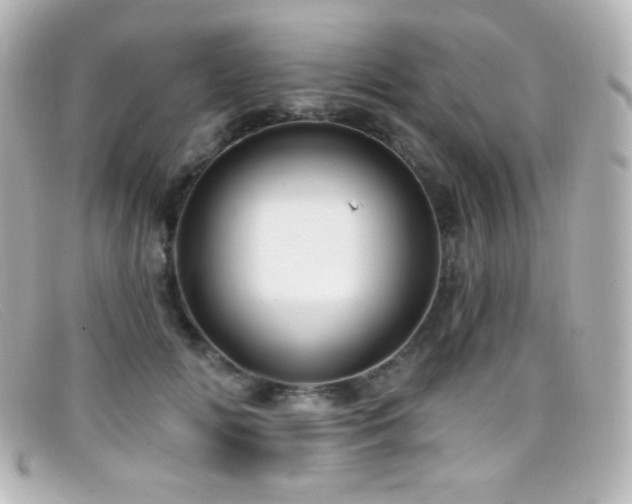 X0000099380702200805081446