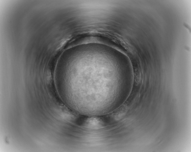 X0000099380704200805081446