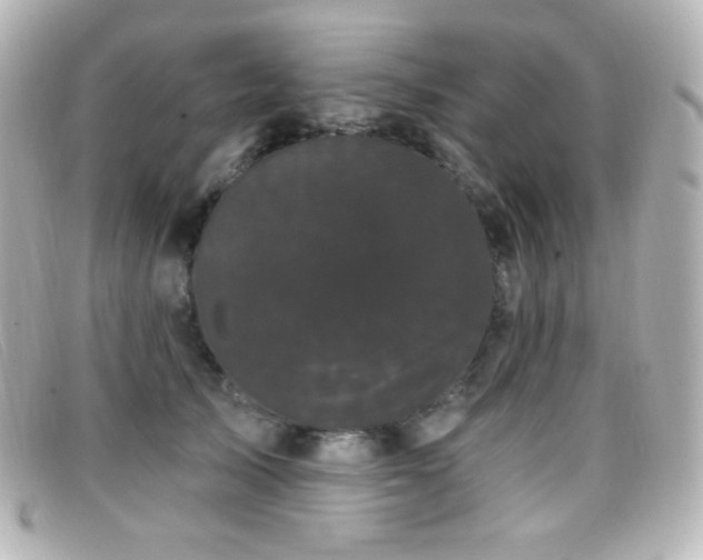 X0000099380705200805081446