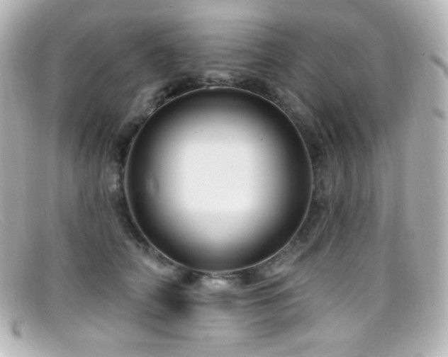 X0000099380706200805081446