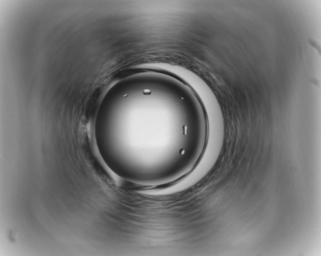X0000099380707200805081446