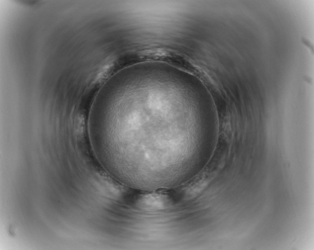 X0000099380708200805081446