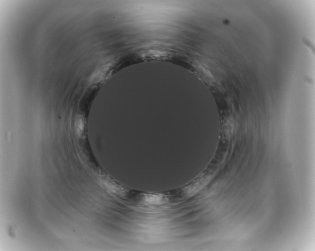 X0000099380709200805081446