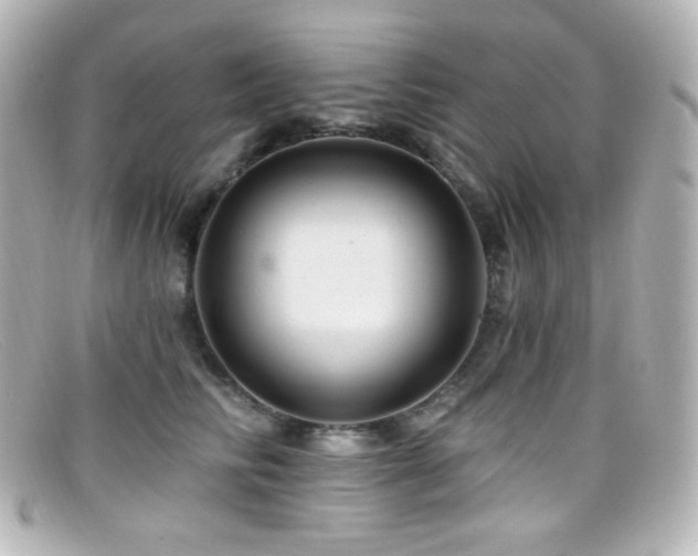 X0000099380710200805081446